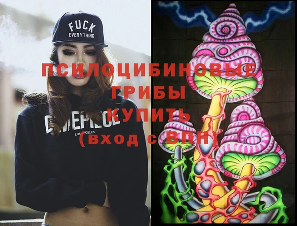 стаф Кинешма